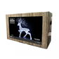 1.4M Iridescent Richmond Stag