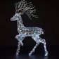 1.4 Iridescent Richmond Stag
