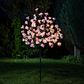 1.2M Cherry Blossom Tree