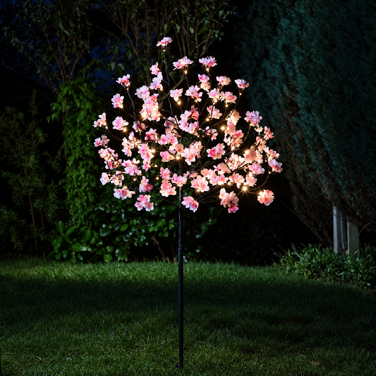 1.2M Cherry Blossom Tree