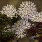 Warm White Flower Projector String Lights