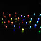Spectrum Berry String Lights