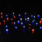 Spectrum Berry String Lights