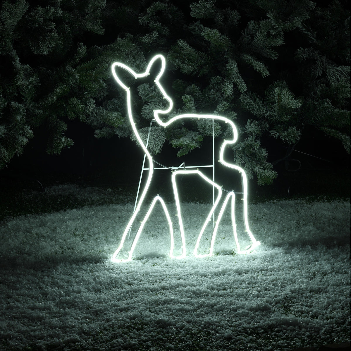 53CM 2D Neon Fawn
