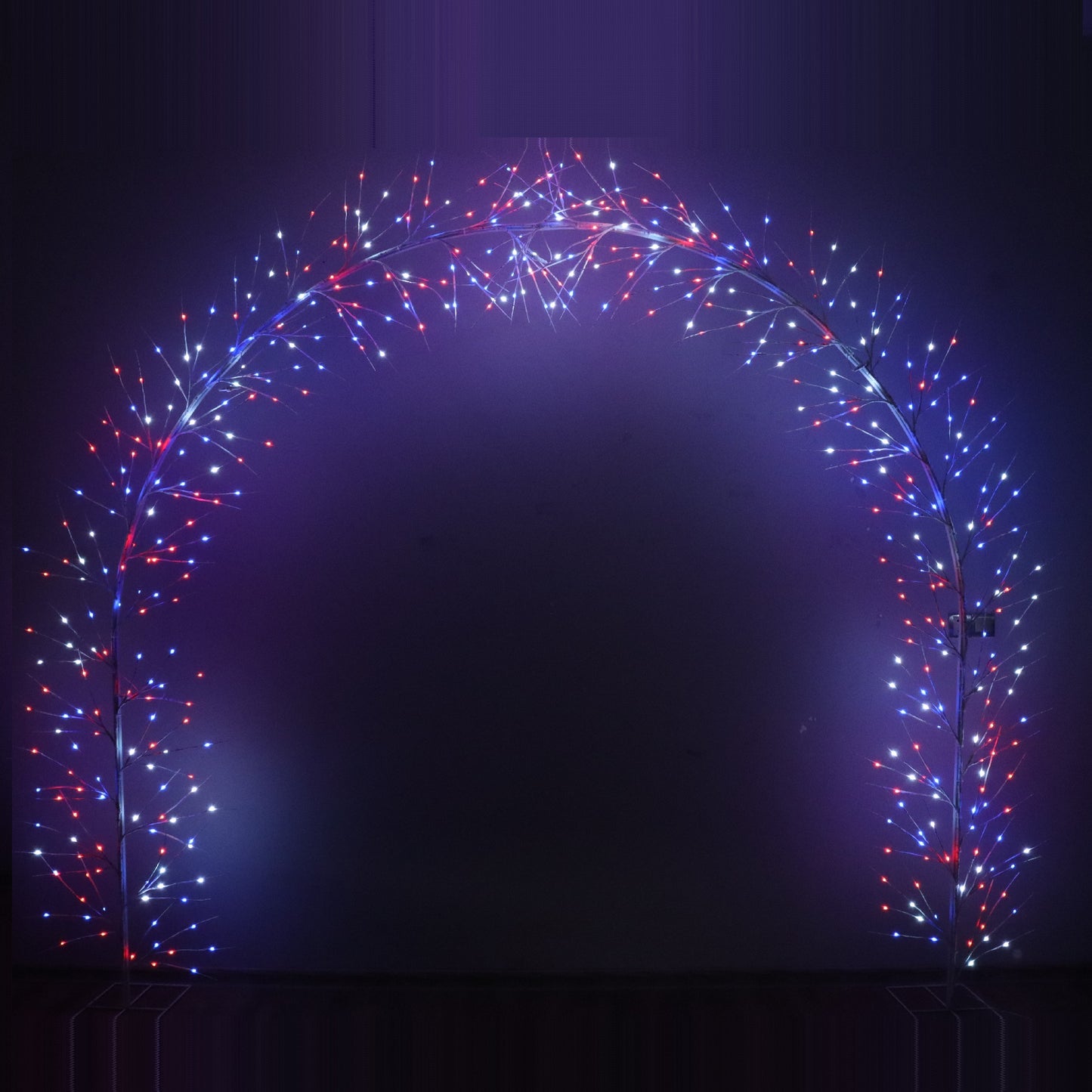 Spectrum 3M Twig Arch