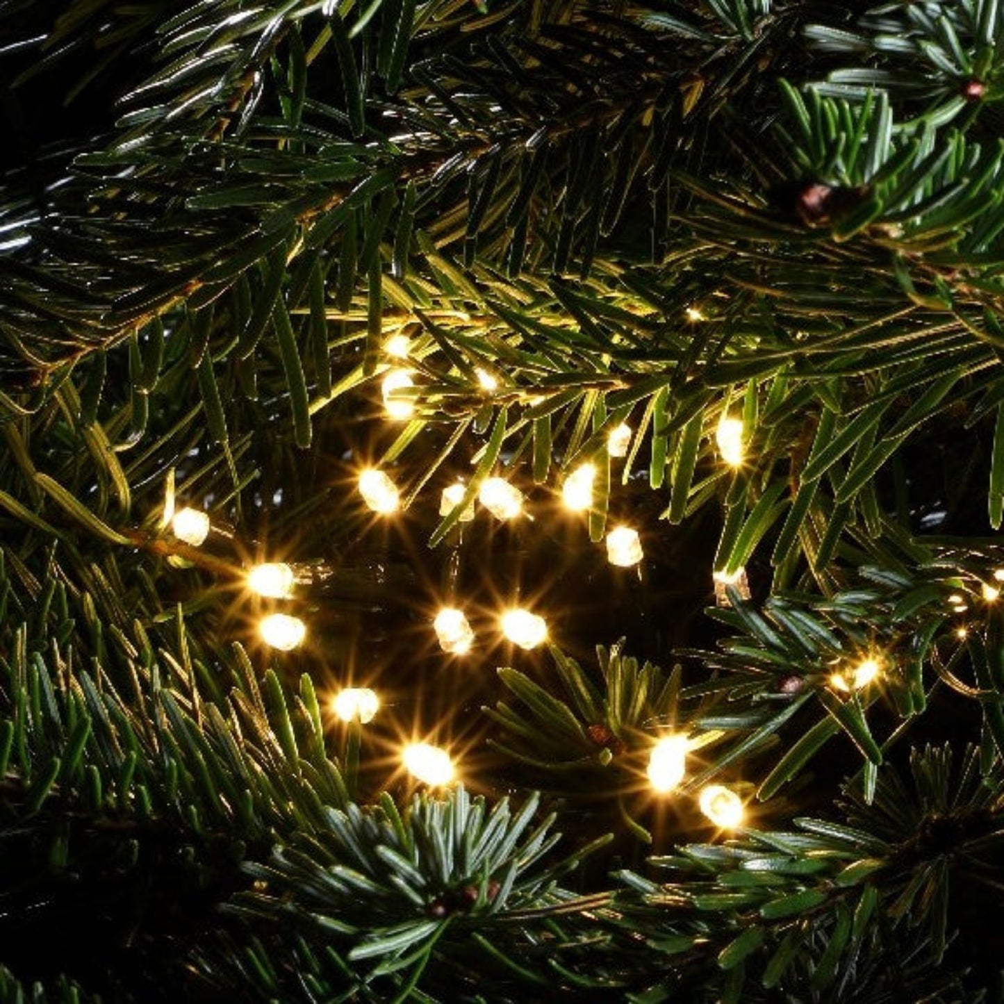 240 Warm White Multifunction String Lights With Green Cable