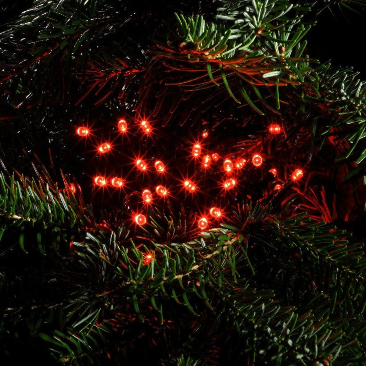 360 Red Multifunction String Lights with Green Cable