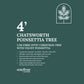 1.2M Chatsworth Tree With Poinsettia