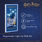 Harry Potter - Hogsmeade Light Up Wall Art
