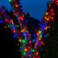 600 Fit & Forget Multicolour Multifunction String Lights