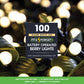 100 Fit & Forget Warm White Multifunction Berry Lights