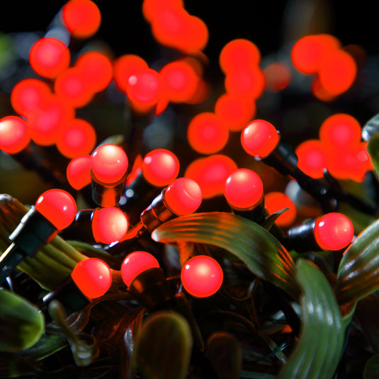 200 Fit & Forget Red Multifunction Berry Lights