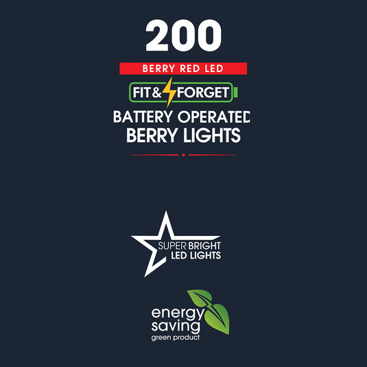 200 Fit & Forget Red Multifunction Berry Lights