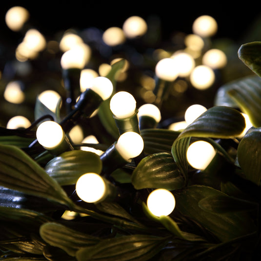 200 Fit & Forget Warm White Multifunction Berry Lights