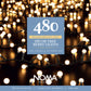 480 Warm White Décor Berry Light
