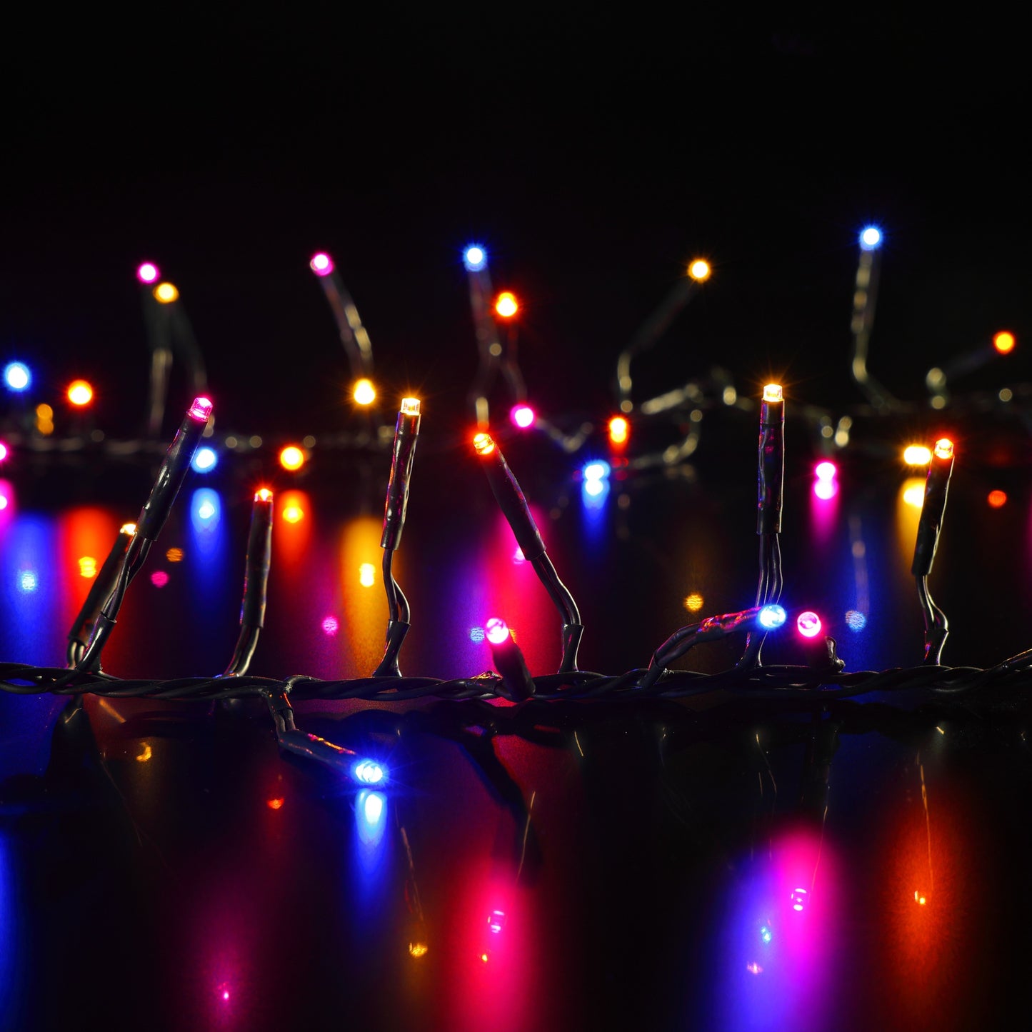 Harlequin Cluster Lights