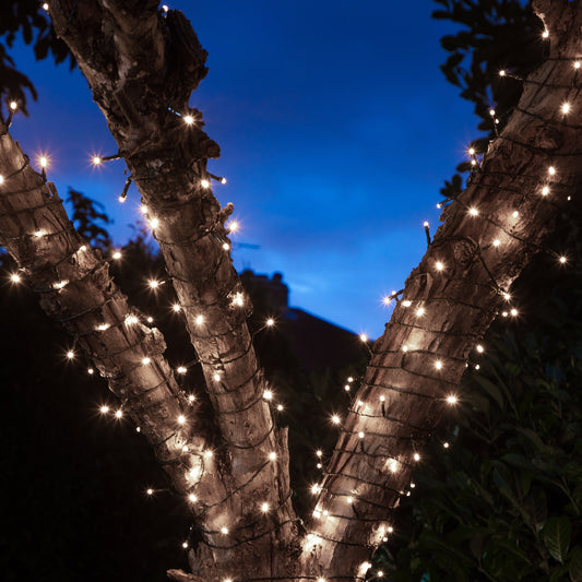 White String Lights
