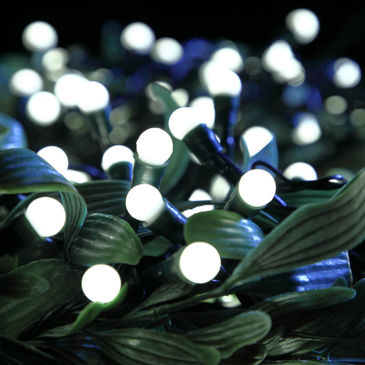 White Berry Lights