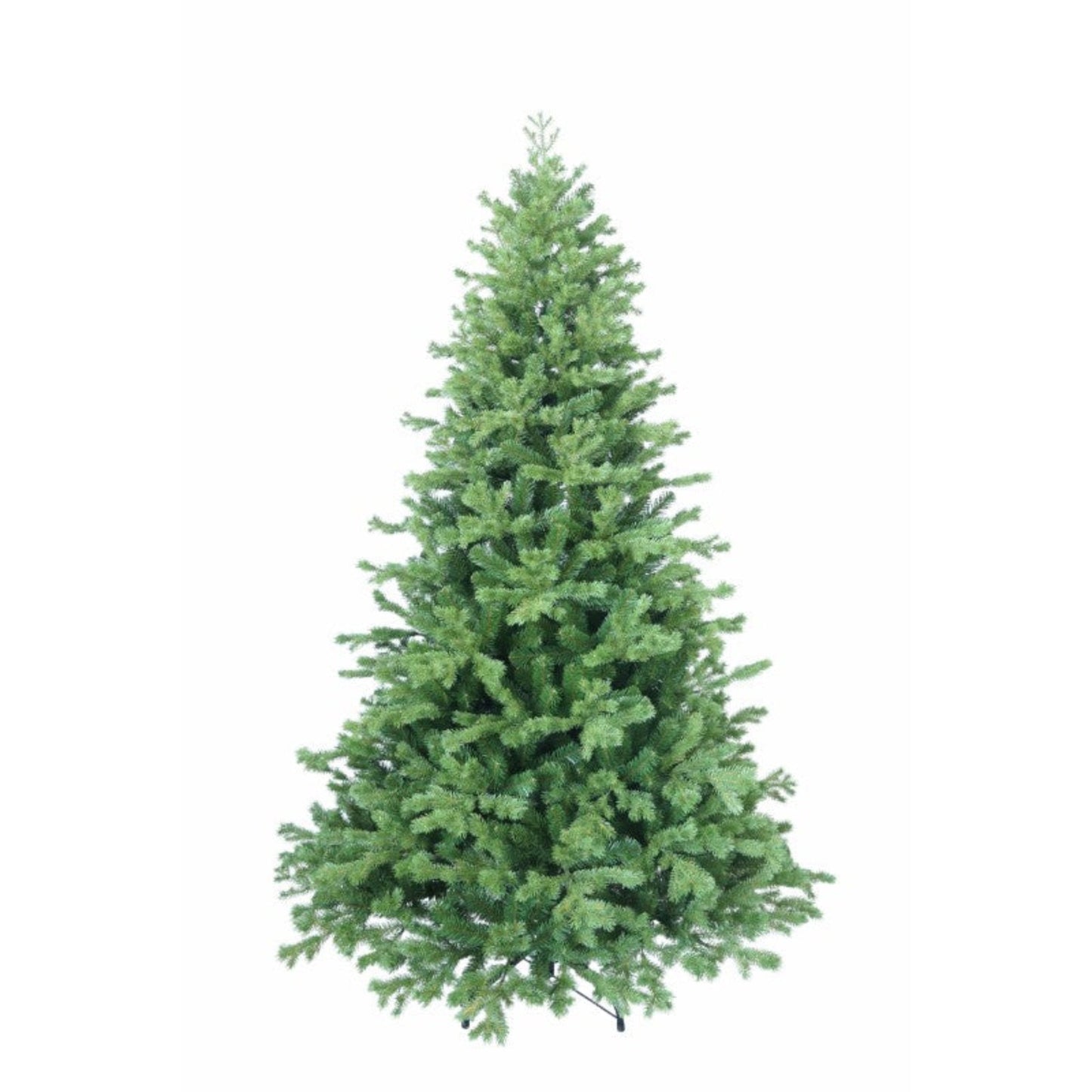 Lakeland Fir