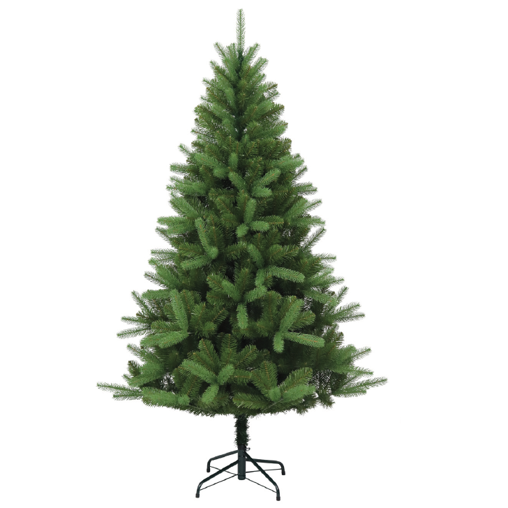 Canterbury Spruce 6'