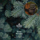 30ml Tree Scent Fragrance