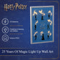 Harry Potter - Patronus Light Up Wall Art