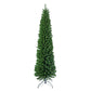 Pencil Pine