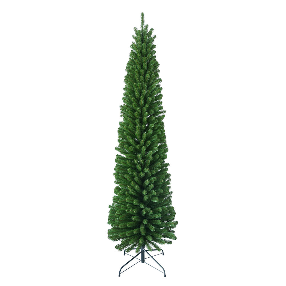 Pencil Pine