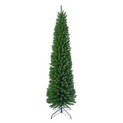 Pencil Pine