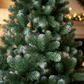 Wasdale Frost Fir
