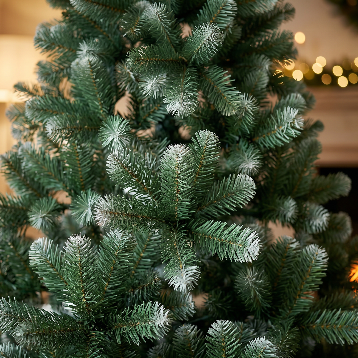 Wasdale Frost Fir