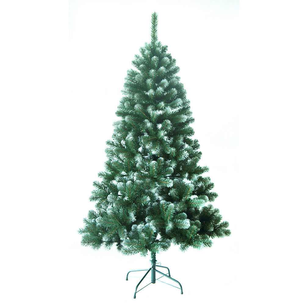 Wasdale Frost Fir