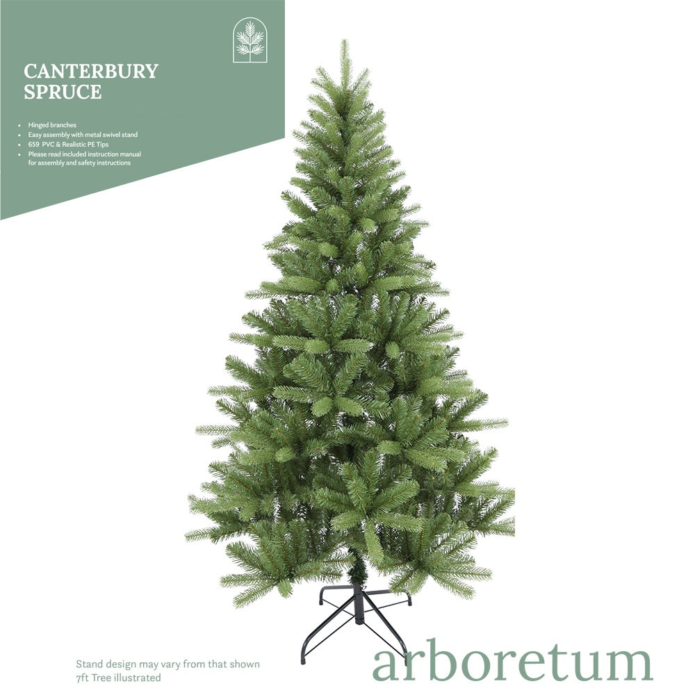 Canterbury Spruce