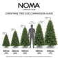 Canterbury Spruce