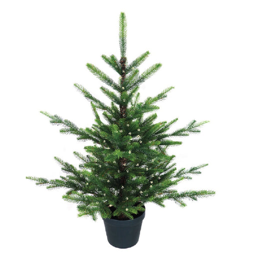 3' Nordman Fir Pre Lit Potted Tree
