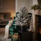 3' Silverdale Potted Tree