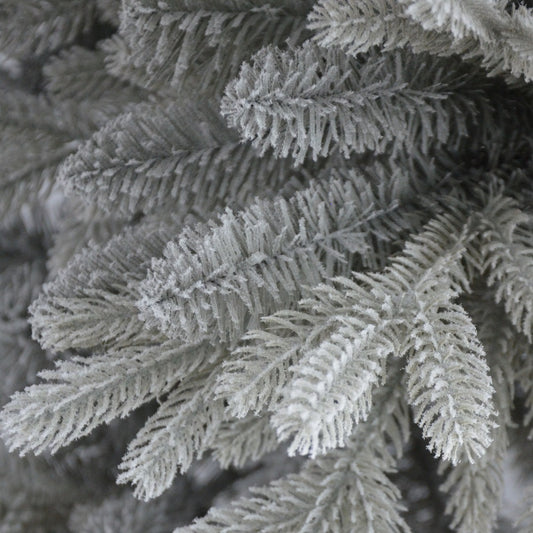 3' Silverdale Potted Tree