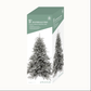 Silverdale Pine