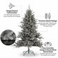 Silverdale Pine