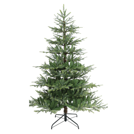 5' Nordman Fir