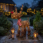 52cm Brown Wicker Rudolph In Boots With 60 LED's