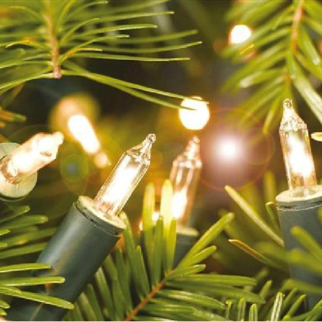 100 Clear Alderbrook Mini Lights NOMA Christmas