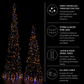 Paris By Night - Set of 2 Spiral Trees (120cm and 90cm)