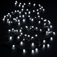 White Berry Lights