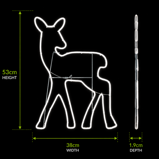 53CM 2D Neon Fawn
