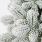Lakeland  Snowmelt Fir