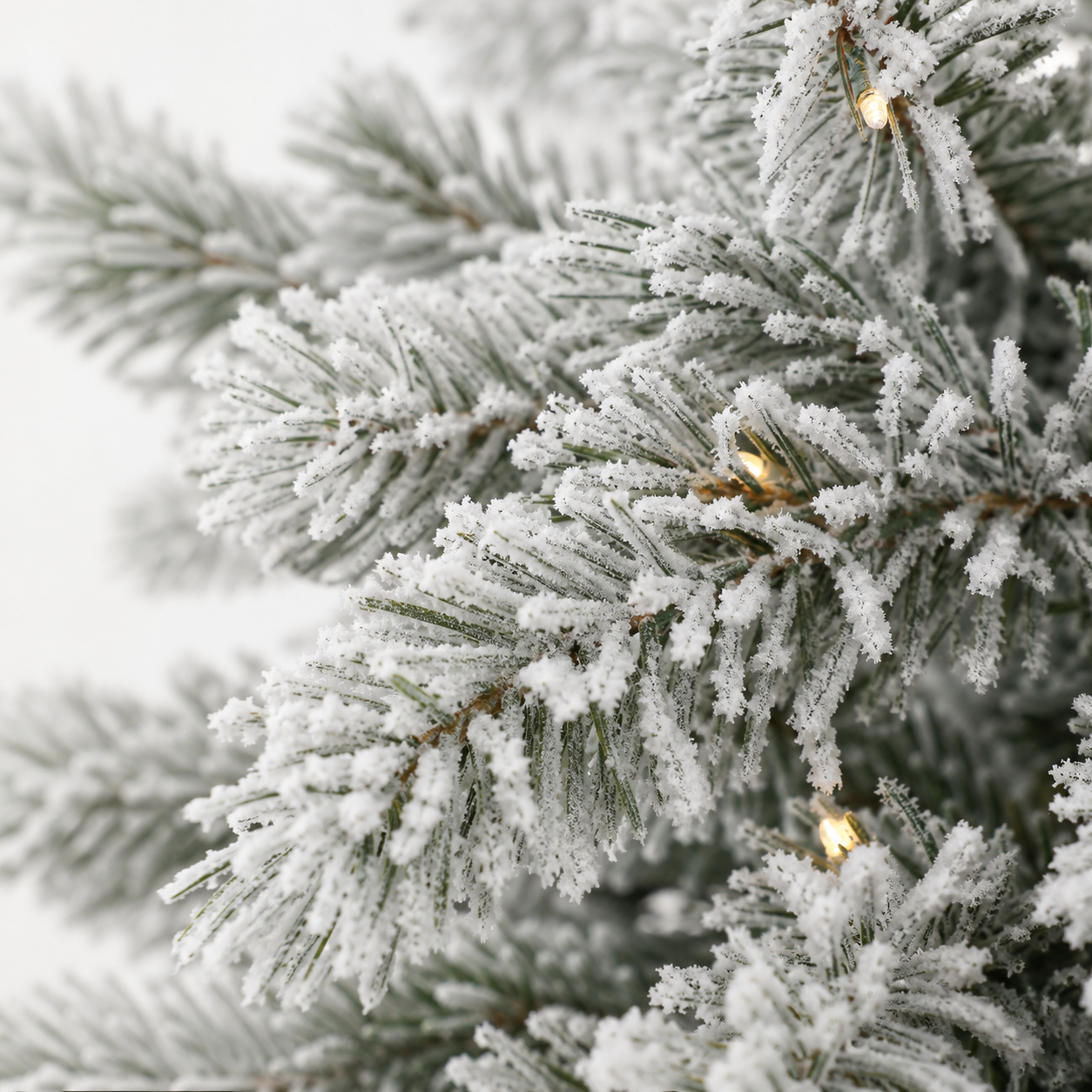 3' LAKELAND SNOWMELT FIR PRE LIT POTTED TREE