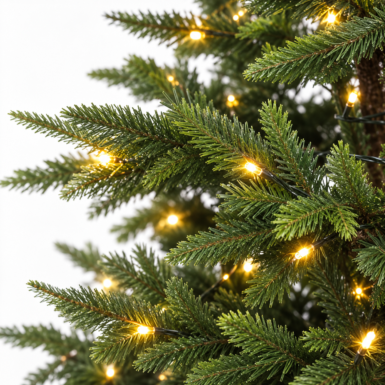 Pre-Lit Nordman Fir