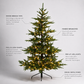 Pre-Lit Nordman Fir