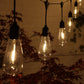 10 Large Hanging Edison Festoon Lights